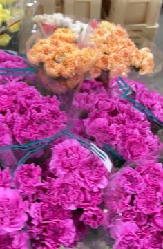 DG Wholesale Flowers