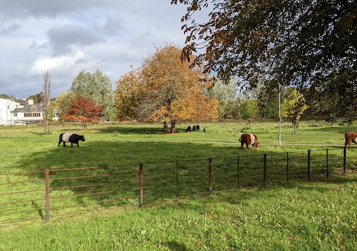 Box Moor – Fishery Moor