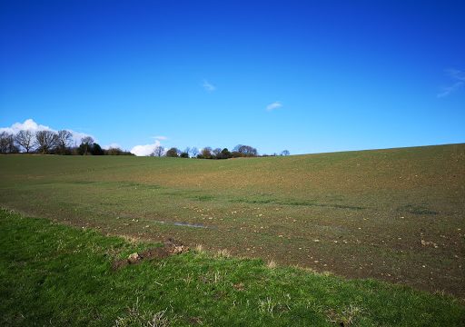 Town End Farm