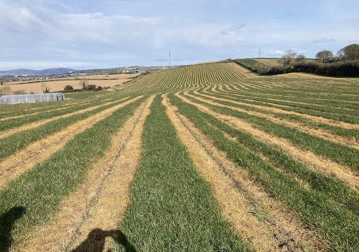 NI Farm Forestry