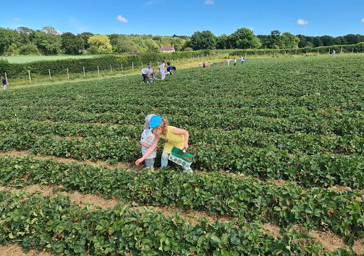 New House Farm Shop