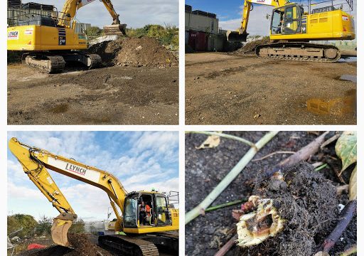 Inspectas Land Remediation LTD – Japanese Knotweed Specialists