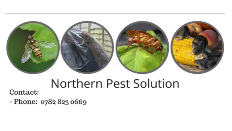 Northern Pest Solutions