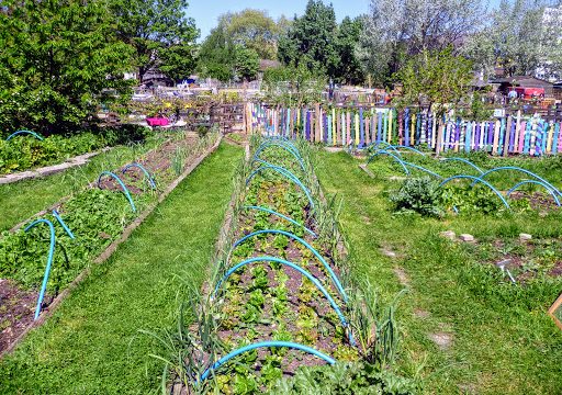 Stepney City Farm