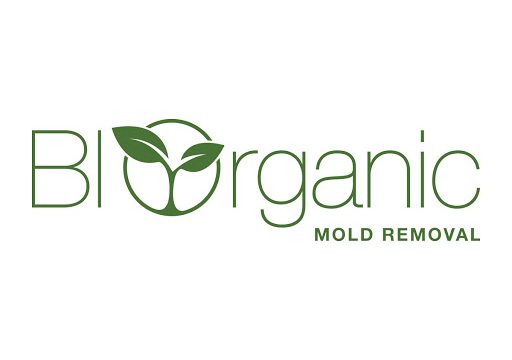 Biorganic Mold Removal