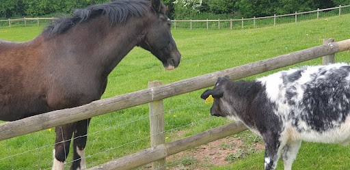 Avenbury Care Farm