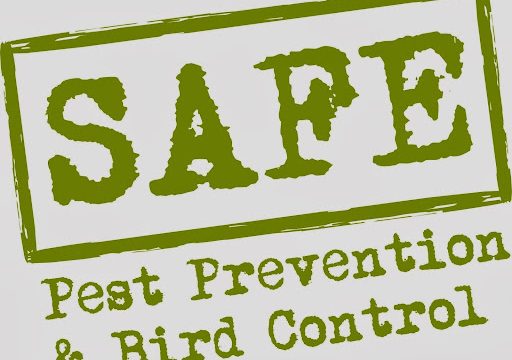 SAFE Pest Prevention & Bird Control