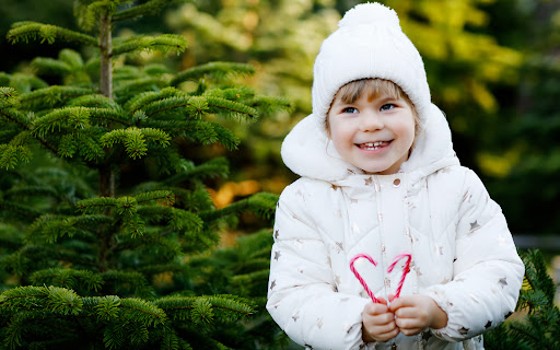 Leamington Christmas Trees