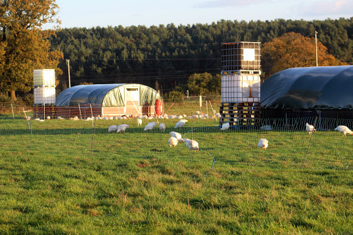 The Organic Poultry Paddock