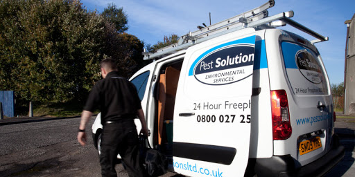 Pest Solutions