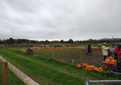 Greenlands Farm Village