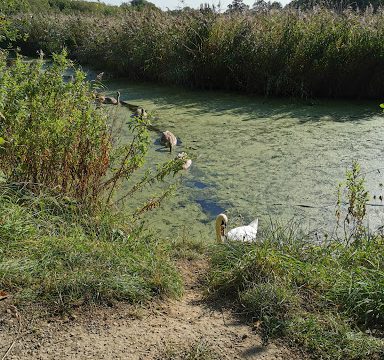 Humber Nature Partnership