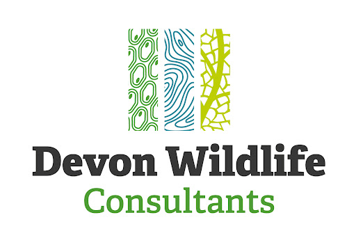 Devon Wildlife Consultants