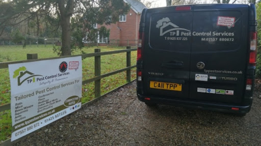 TP Pest Control Services – Rat Control