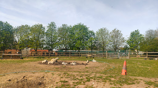 Hackney City Farm