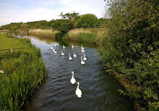 Freshwater Biological Association