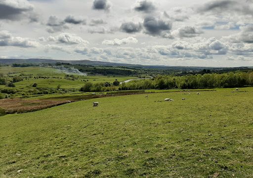 Pendle Hall Farm