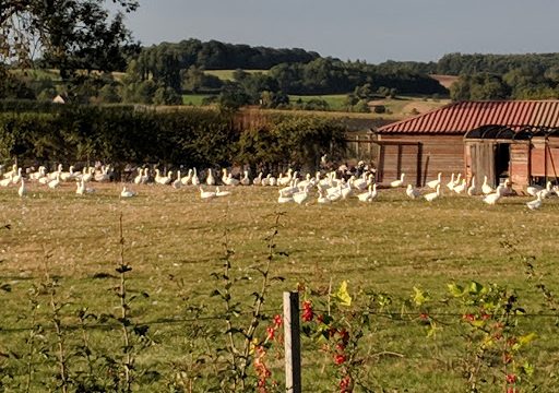 Heart of England Farms