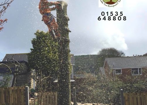 Keighley Tree Services Ltd