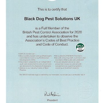 Black Dog Pest Solutions UK Ltd