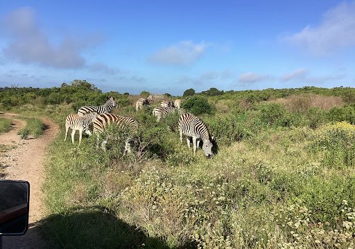 Bay Farm Tours