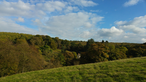 Daleswood Farm