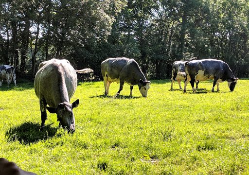 Theale Farm