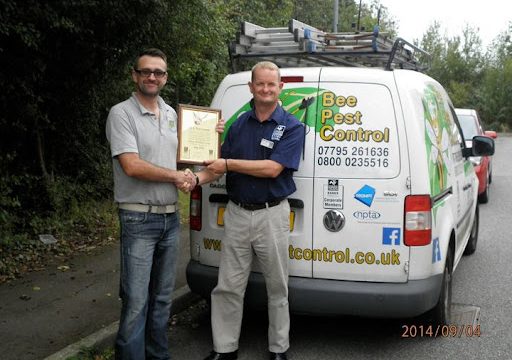 Bee Pest Control Chelmsford