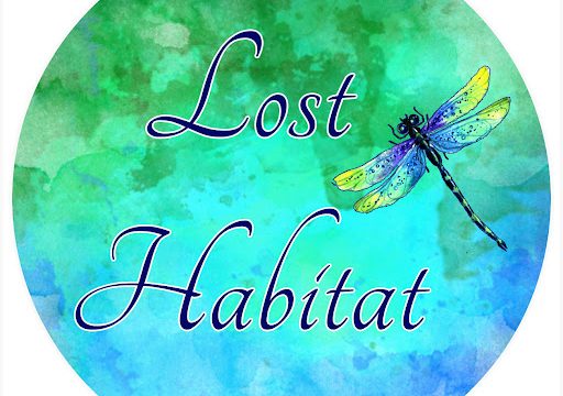 Lost Habitat Ltd