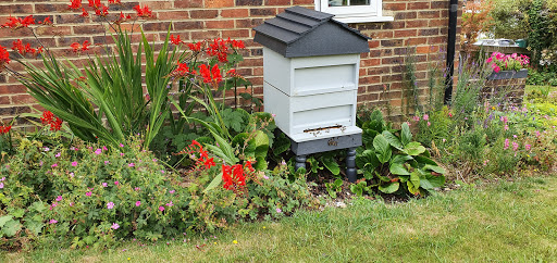 Mr BeeKeeper in Brighton & Hove