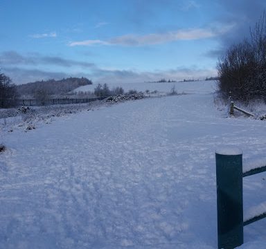 South Wardley Farm