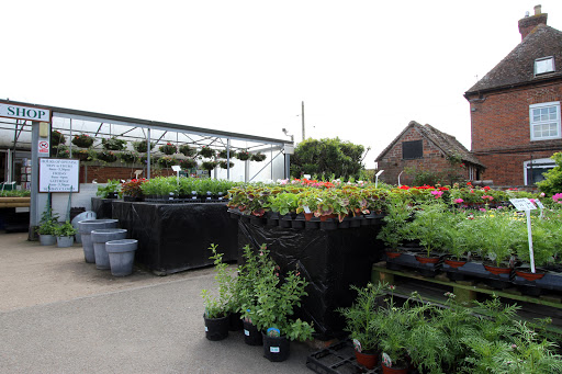 Hunscote Farm Shop and Nursery