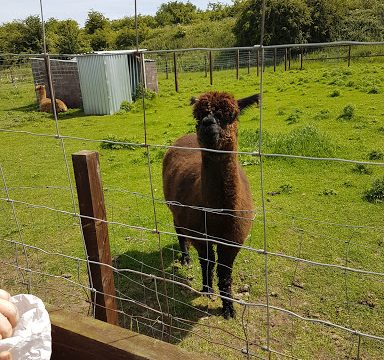 Shepherds Place Farm