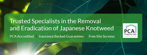 Inspectas Land Remediation LTD – Japanese Knotweed Removal Specialists