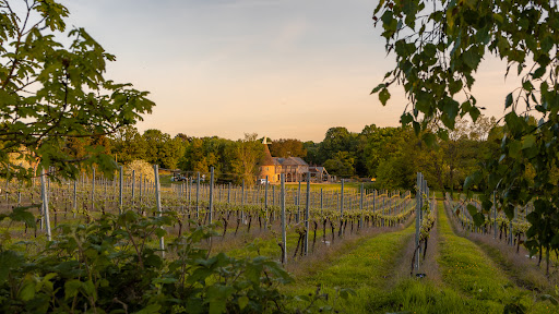 Birchden Farm and Vineyards