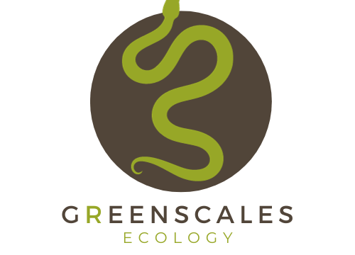 GreenScales Ecology