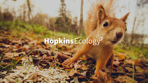 Hopkins Ecology Limited