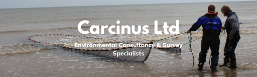 Carcinus Ltd