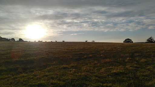 Holmbush Farm and Farm Shop