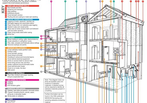 Cardiff Asbestos Services Ltd