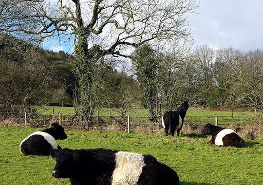 Peak Pasture Farms