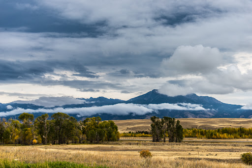 Western Sustainability Exchange