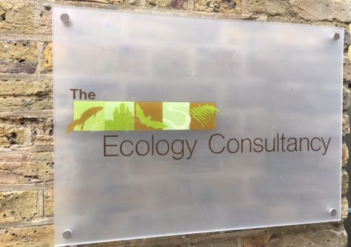 The Ecology Consultancy