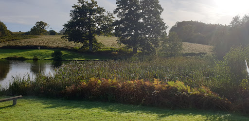 Chaleybeate Trout Fishery