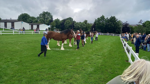 Yorkshire Agricultural Society