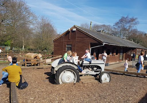 Tam O’Shanter Urban Farm