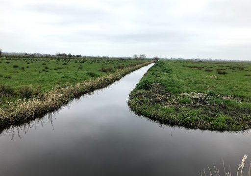 Quantock Ecology Ltd