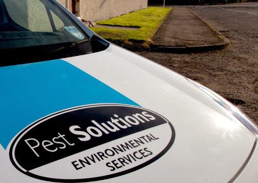 Pest Solutions