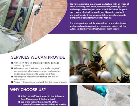 Luton Borough Council Pest Control Sevices