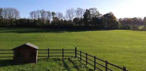 Westlands Farm Shop